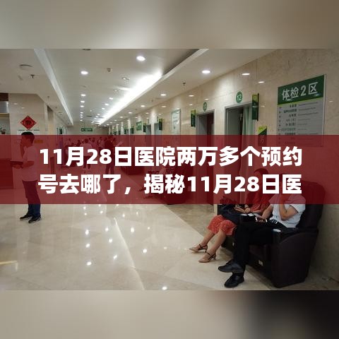 第2642页