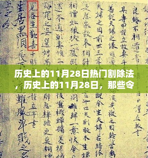 网站案例 第446页