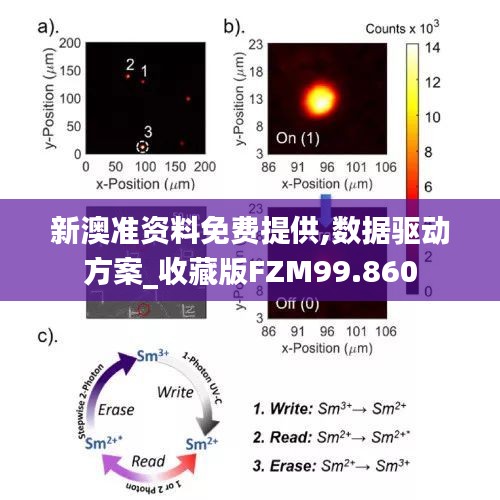 网站案例 第431页