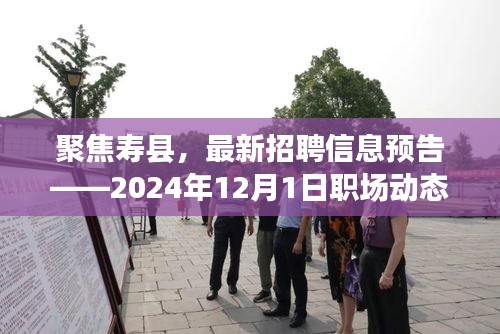 建站服务 第426页