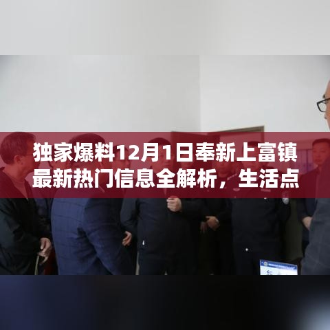 虫言鸟迹 第4页