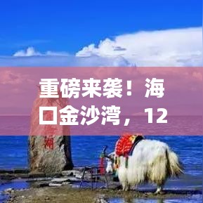 劳燕分飞 第4页