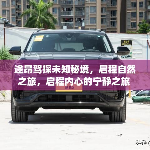 张皇失措 第4页