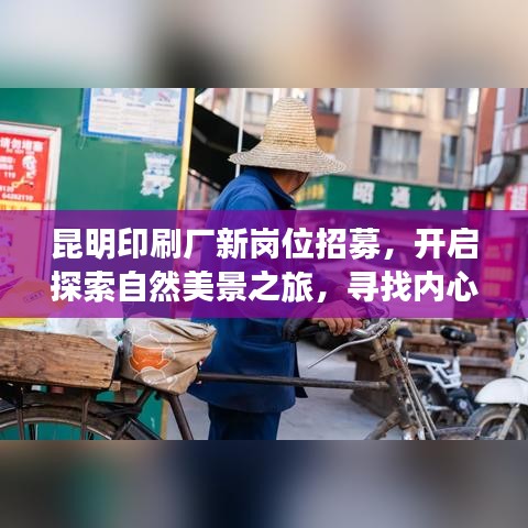 第2271页