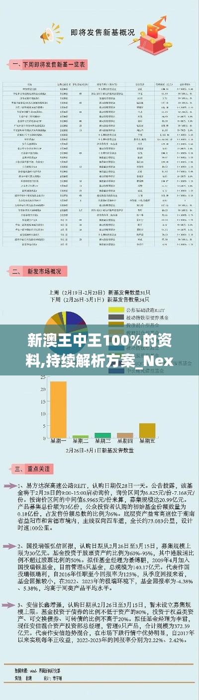 新澳王中王100%的资料,持续解析方案_Nexus78.472