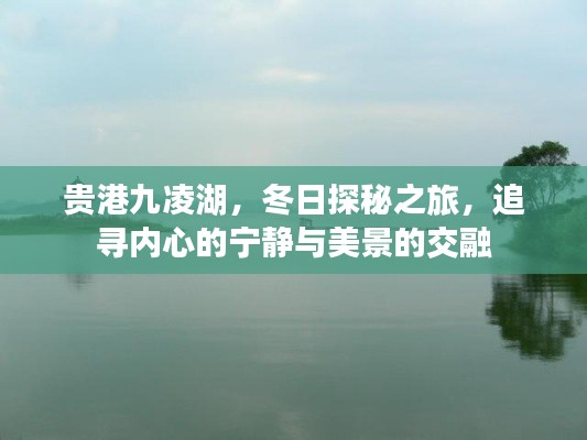 建站服务 第370页