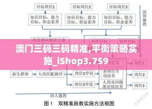 澳门三码三码精准,平衡策略实施_iShop3.759