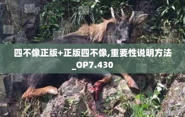 笼鸟槛猿 第5页