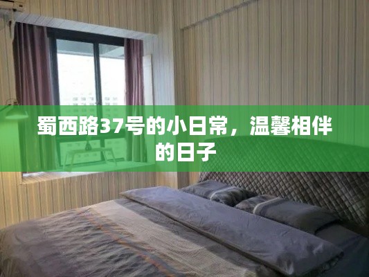 蜀西路37号的温馨日常