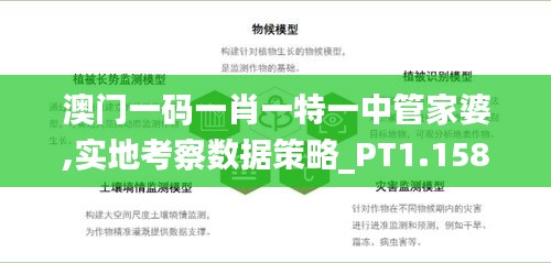 容光焕发 第4页
