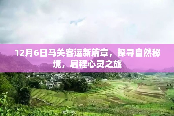 物离乡贵 第3页