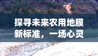 五角六张 第3页