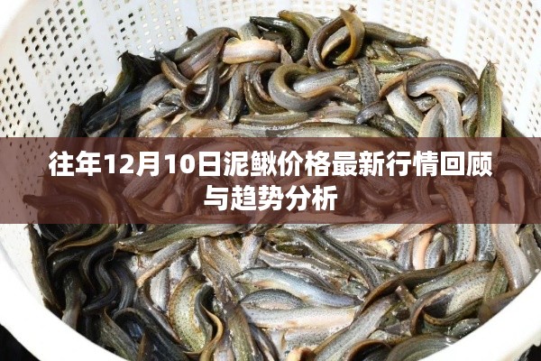 一花独放 第3页