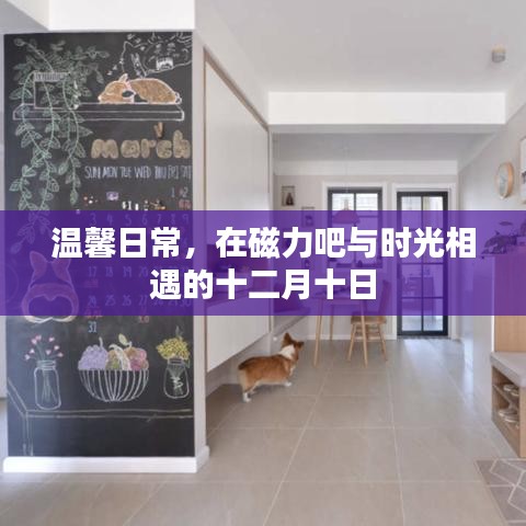 披沙拣金 第4页