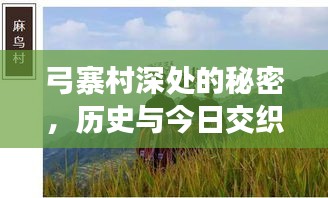 张敞画眉 第4页