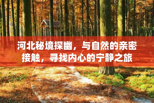 初告白 第4页