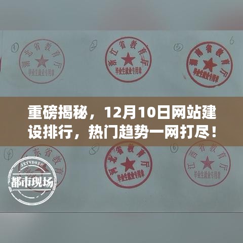 朴素无华 第4页