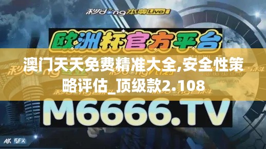 澳门天天免费精准大全,安全性策略评估_顶级款2.108