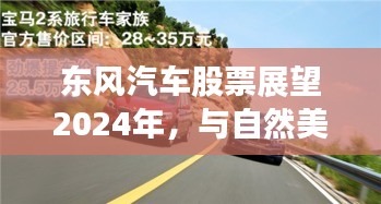 帮助中心 第315页