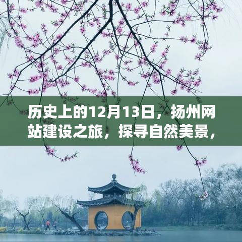 百鸟归巢 第3页
