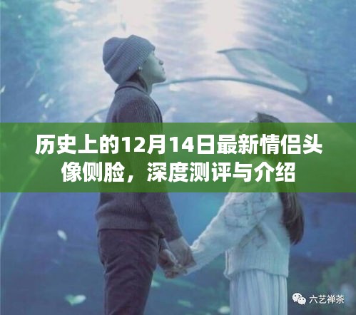 映月读书 第3页