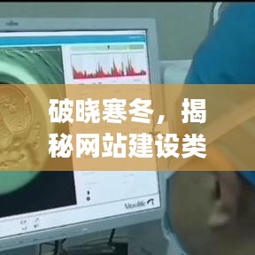 十年磨剑 第4页