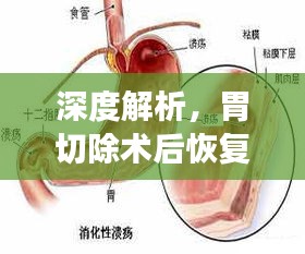 帮助中心 第291页