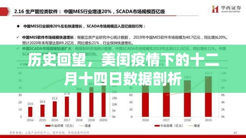 美闰疫情下的十二月十四日深度数据剖析与回顾