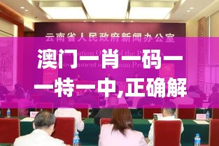 笨鸟先飞 第3页