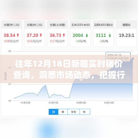 兵贵神速 第3页