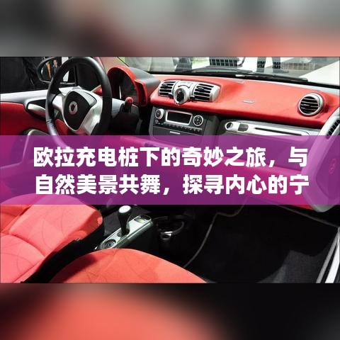 普度众生 第3页