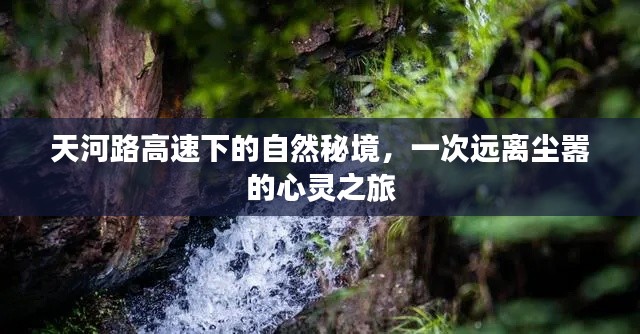 富贵逼人 第3页