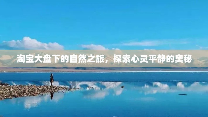 张三李四 第3页