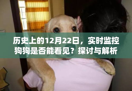 还朴反古 第3页