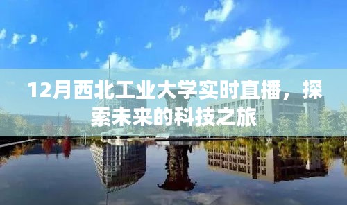 青天白日 第3页