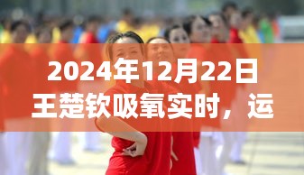 寥若晨星 第3页