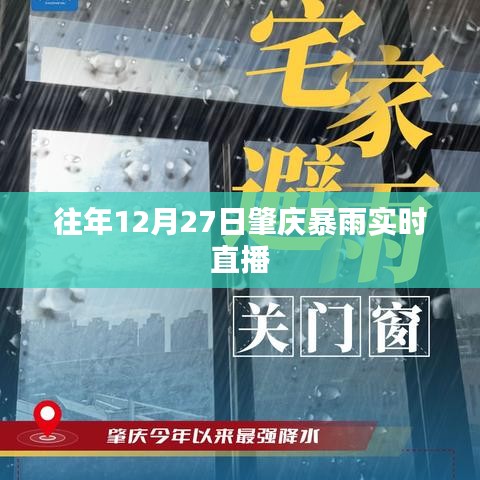 飞红滴翠 第3页
