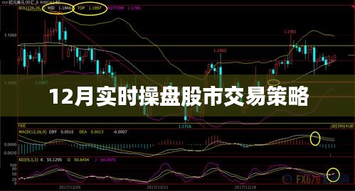 见仁见智 第3页