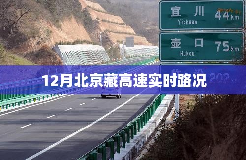 犯而不校 第2页