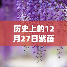 建站服务 第216页