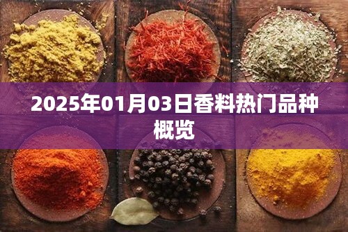 字斟句酌 第3页