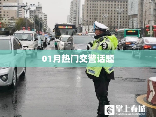 繁鸟萃棘 第3页