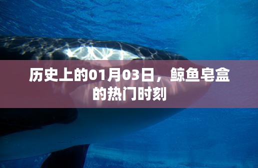 刚毅木讷 第3页