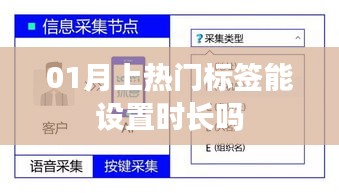 鸟惊鼠窜 第3页