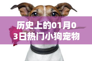 高人雅士 第3页