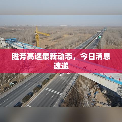 三人成虎 第3页