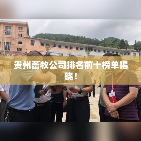 建站服务 第179页