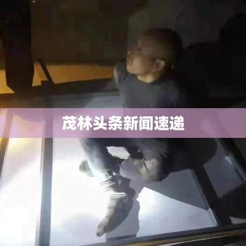 杳无音信 第2页