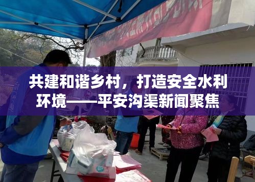 凤鸟不至 第3页