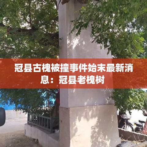 后会无期 第3页